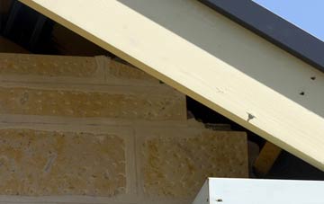 soffit repair Caehopkin