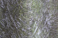 Caehopkin fibreglass roof work
