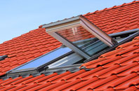 Caehopkin roof window